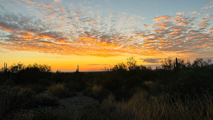 Arizona sunset scattered colorful clouds saguaro cactus and trees