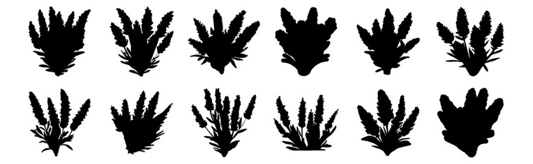 Flower silhouettes set, pack of vector silhouette design, isolated background