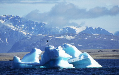 Landscape of Svalbard (Spitsbergen)