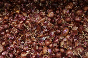 A pile of onions for sale
