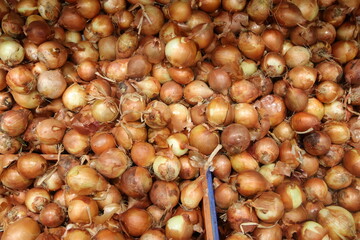 A pile of onions for sale