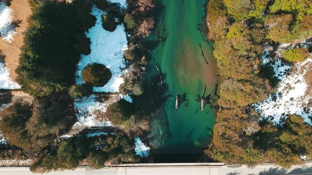 Tranquil River Flowing Through Lush Forest in Patagonia Argentina. Ruca Malen River in Villa la angostura, Neuquen, Argentina 