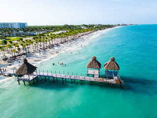 sandy beach with palm trees