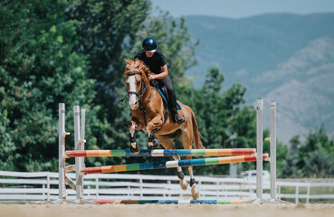 Equestrian rider jumping horse over a colorful hurdle in an outdoor competition with mountain and trees in the background.