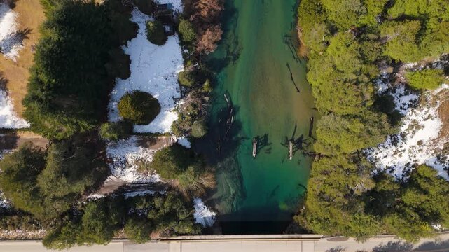 Tranquil River Flowing Through Lush Forest in Patagonia Argentina. Ruca Malen River in Villa la angostura, Neuquen, Argentina 
