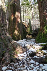 玉置神社・玉石社 © Bosporus