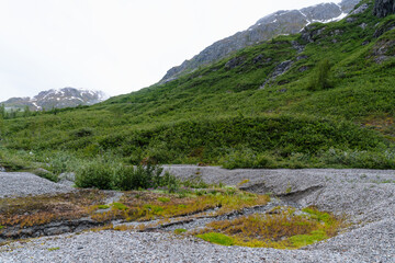 Mountain landscape in Glacier Bay National Park in southeastern Alaska during summertime