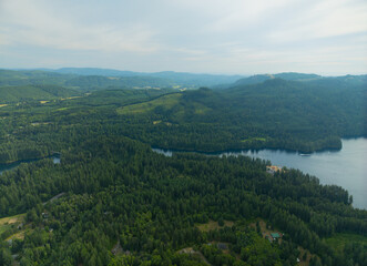 Fototapeta premium A lush green forest with a lake in the background