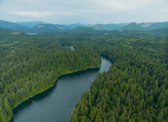 A river runs through a forest with trees on both sides
