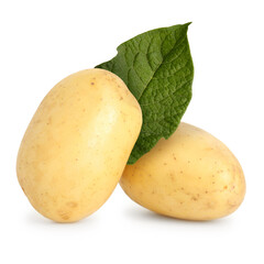 Potatoes and green leaf isolated on white