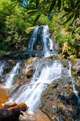 Waterfall in the forest