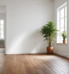 An empty white room with a wooden floor and a potted plant
