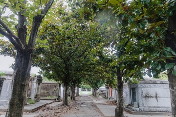 Graves in the Lafayette Cemetery, New Orleans, Louisiana, United States of America.
