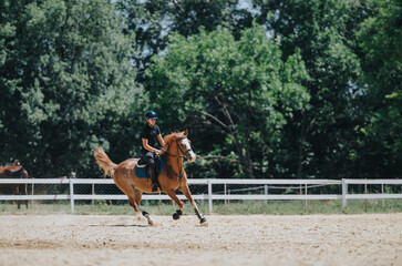 Young equestrian riding a horse at an outdoor training arena, demonstrating skill and control on a...