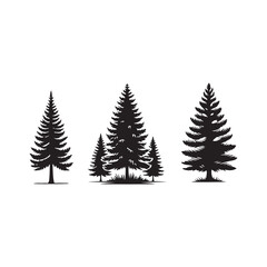 Obraz premium pine tree silhouette isolated on white background .vector illustration. Beautiful hand drawn panorama with treetops forest. Black pine woods
