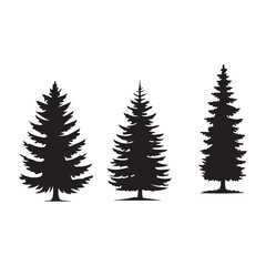 pine  tree silhouette isolated on white background .vector illustration. Beautiful hand drawn panorama with treetops forest. Black pine woods