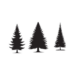 Fototapeta premium pine tree silhouette isolated on white background .vector illustration. Beautiful hand drawn panorama with treetops forest. Black pine woods