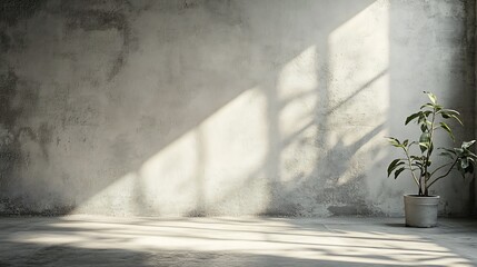 Fototapeta premium Background Wall Concrete with Light ShadowBeige Studio Background Display Room Texture with sunlight for product presentationEmpty Kitchen with shadow from window reflection on wallBan : Generative AI