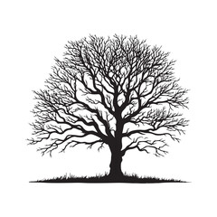 Fototapeta premium Digital art of group of black trees without leaves isolated on transparent background, Black silhouette of a tree without leaves on white background.