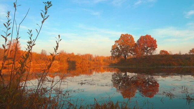 Beautiful sunrise over a autumn forest lake, calm water, small waves