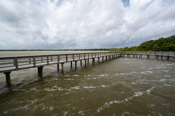 Obraz premium Early weather effects of Tropical Storm Debby in Everglades National Park, Florida with strong winds and storm cloud formation over West Lake.