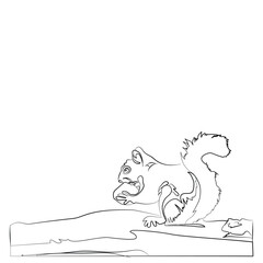 Cartoon squirrel on a rock. Illustration for animal coloring book. Coloring book for children. Illustration children coloring page with a picture of a squirrel for animal