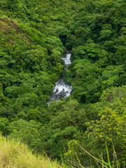 Reserva Forestal La Yeguada Panama