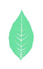 green leaf icon without background