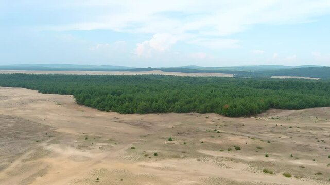 Bledowska Desert aka Polish Sahara aka Pustynia Bledowska. The only desert in Poland and the largest inland area of loose sand in Europe. Silesian Highlands in the Lesser Poland Voivodeship.