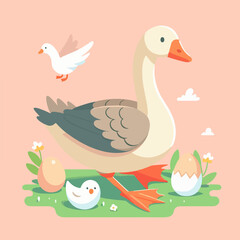 family Goose White and Grey Domestic and Wild Birds