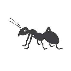 Obraz premium Ants, are a type of social insect, vector art.