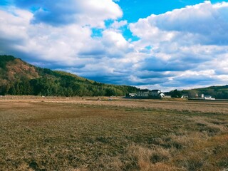 Fototapeta premium A dry rice field under a cloudy sky. 
