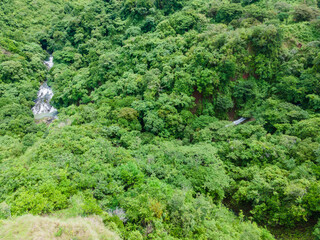 Reserva Forestal La Yeguada Panama