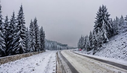  Wintry road through snowy evergreens