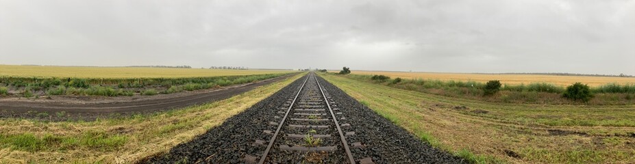 Fototapeta premium railway track through wheat crops