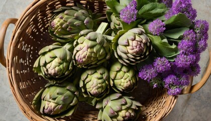 Fototapeta premium Freshly harvested artichokes in a woven basket