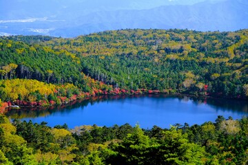 白駒池の湖畔に映える紅葉
