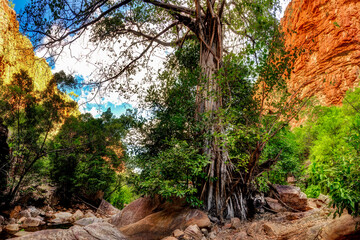 Emma Gorge, Western Australia