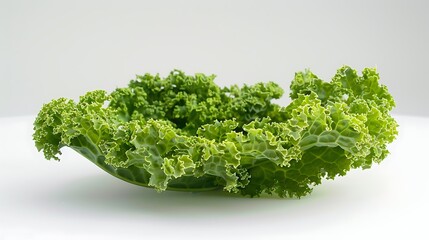 Fototapeta premium A fresh green kale leaf, its ruffled edges and deep green color displayed on a white background.