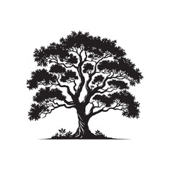 Obraz premium Sandalwood tree Black silhouette on a white background. Vector. Set.