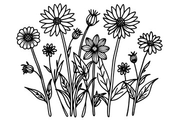 Wildflower Outline Illustration Leaf Plant 