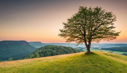Fototapeta premium Natures serene beauty at sunset