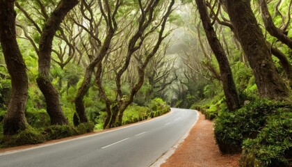  Enchanted forest road inviting a journey into the unknown