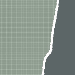 torn paper background