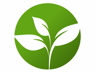 green leaf icon