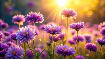 Fototapeta premium Beautiful oil painting of purple flowers basking in the warm sun rays , sunny, flower, landscape, oil painting, purple