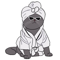 Illustration of a cat in various contexts used to decorate the work.