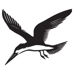 Fototapeta premium Black skimmer Silhouette, Rynchops Niger Bird Clipart, Black Skimmer diving beak closed Illustration in black and white