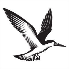 Obraz premium Black skimmer Silhouette, Rynchops Niger Bird Clipart, Black Skimmer flying wings back Illustration in black and white