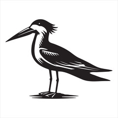 Obraz premium Black Skimmer Silhouette, Rynchops Niger Bird Clipart, Black Skimmer standing and facing left Illustration in black and white